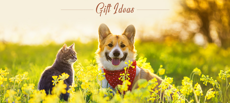 Amazing Custom Gifts for Pets and Their Owner
