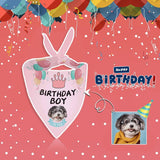 Custom Face Pink Birthday Boy Pet Bandana
