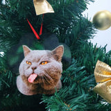 Custom Photo&Name Cat Paw Ornament