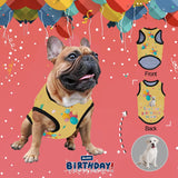 Custom Face Birthday Present All Over Print Pet Tank Top Personalized Dog T Shirt Pet Clothing With Your Photo