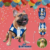 Custom Face Football Stripes All Over Print Pet Tank Top Personalized Pet Clothes Dog T Shirt With Your Photo