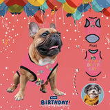 Personalized Pet Clothes Dog T Shirt Custom Face It's My Birthday All Over Print Pet Tank Top