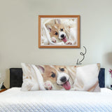 Custom Photo Body Pillow Case with Your Puppy Pictures on It 20