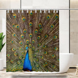 Peacock Shower Curtain 66